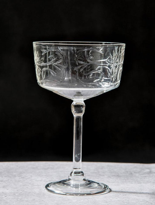 Buy Glasses & jug - Aylin Cocktail Champagne Glass For Home Decor & Bar | Gifting Glassware by The Table Fable on IKIRU online store