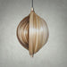 Buy Hanging Light Selective Edition - Natural & Eco-Friendly Sea Shell Pendant Lamp | Hanging Light For Living Room & Home by Mianzi on IKIRU online store