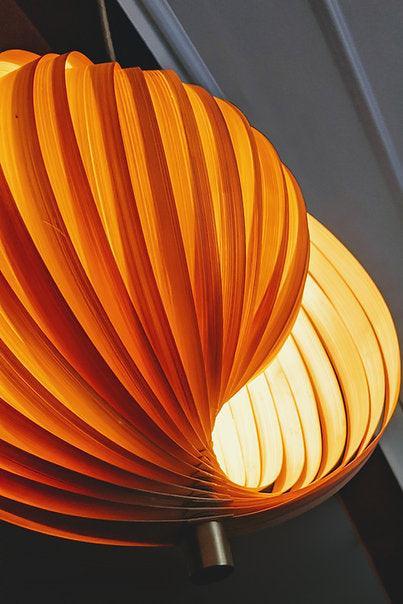 Buy Hanging Lights - Sea Shell Pendant Lamp: Natural & Eco-Friendly by Mianzi on IKIRU online store
