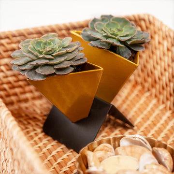 Buy Indoor Planters - Lovins Unique Black & Golden Finish Planter For Table Decor & Home by Restory on IKIRU online store