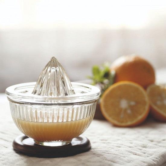 Buy Kitchen Utilities - Raasa Citrus Glass Hand Juicer For Home & Kitchen Essential by Courtyard on IKIRU online store