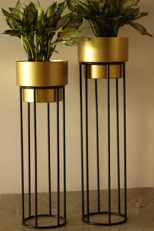 Buy Planter - Antique Gold Metal Twist Floor Planter Stand Set of 2 for Living Room & Home Decoration by Kaksh Studio on IKIRU online store