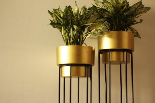 Buy Planter - Antique Gold Metal Twist Floor Planter Stand Set of 2 for Living Room & Home Decoration by Kaksh Studio on IKIRU online store