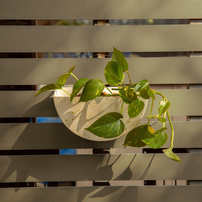 Buy Planter - Berry Circular Metal Wall Hanging Planter Half by Restory on IKIRU online store