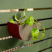 Buy Planter - Berry Circular Metal Wall Hanging Planter Half by Restory on IKIRU online store