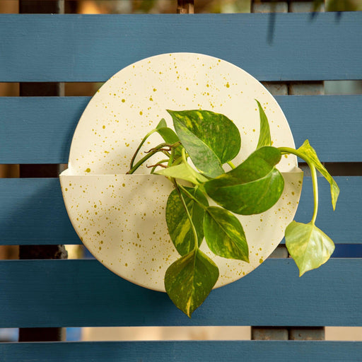 Buy Planter - Berry Circular Metal Wall Hanging Planter - Set of 3 by Restory on IKIRU online store