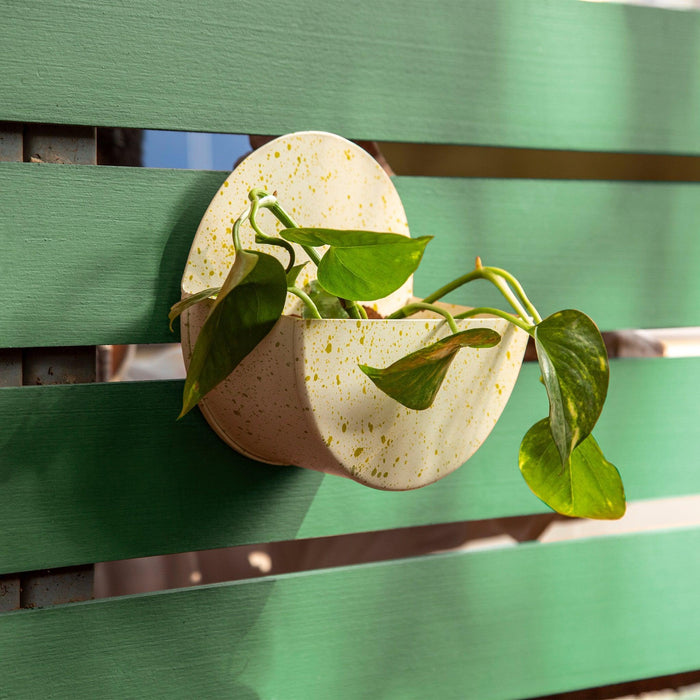 Buy Planter - Berry Circular Metal Wall Hanging Planter - Set of 3 by Restory on IKIRU online store