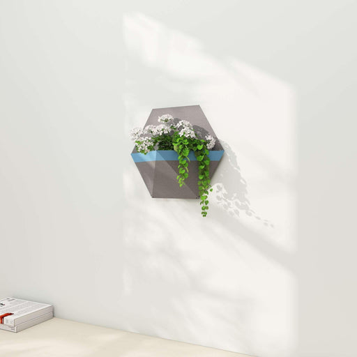 Buy Planter - Decorative Modern Hexagon Wall Planter For Indoor & Outdoor Decor by Restory on IKIRU online store