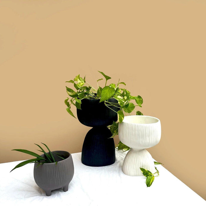 Buy Planter - Fiberglass Planter For Indoor & Outdoor Decor | White Flower Pot For Home Decor and Gift by Muun Home on IKIRU online store
