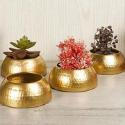 Buy Planter - Golden Decorative Bowl Shape Small Planters Set Of 4 For Decor & Gifting by Amaya Decors on IKIRU online store