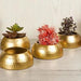 Buy Planter - Golden Decorative Bowl Shape Small Planters Set Of 4 For Decor & Gifting by Amaya Decors on IKIRU online store