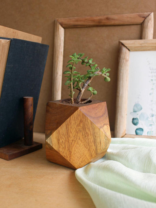 Buy Planter - Indoor Wooden Planters for Living Room, Cube Shape | 3d Planter by Studio Indigene on IKIRU online store