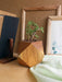 Buy Planter - Indoor Wooden Planters for Living Room Cube Shape | 3d Planter by Studio Indigene on IKIRU online store