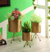 Buy Planter - Metallic Votive Shape Planter With Stand Set Of 3 For Indoor & Outdoor Decor by Amaya Decors on IKIRU online store