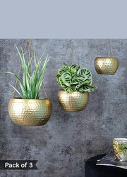 Buy Planter - Modern Hanging Gold Apple Planters For Indoor & Outdoor Decor - Set Of 3 by Amaya Decors on IKIRU online store