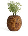 Buy Planter - Wooden Spherical Planter For Indoor & Outdoor Plantation and Decor by Studio Indigene on IKIRU online store