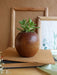 Buy Planter - Wooden Spherical Planter for Indoor Plants For Living Room and Offic Decor by Studio Indigene on IKIRU online store