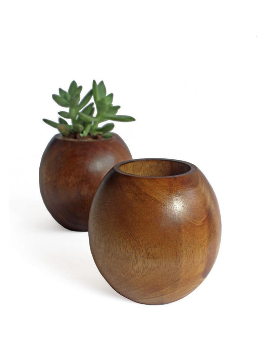 Buy Planter - Wooden Spherical Planter for Indoor Plants For Living Room and Offic Decor by Studio Indigene on IKIRU online store