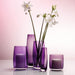 Buy Vase - Decorative Sleek Purple Glass Vase For Home Decor by Home4U on IKIRU online store