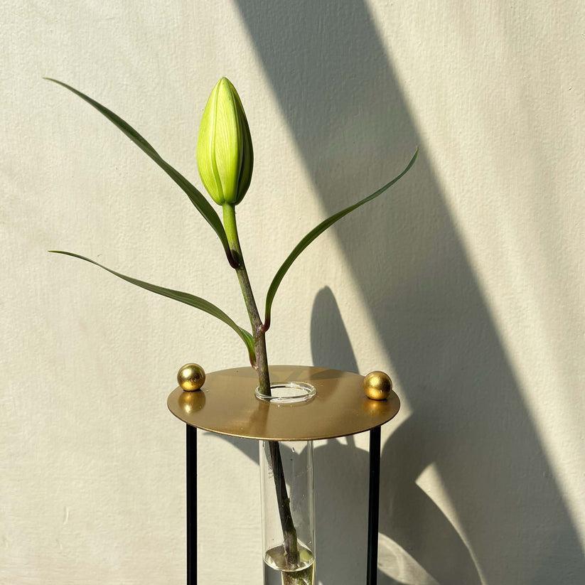 Buy Vase - Metal Gold Glass Test Tube Budvase | Sleek Flower Vase For Home Decor by Muun Home on IKIRU online store