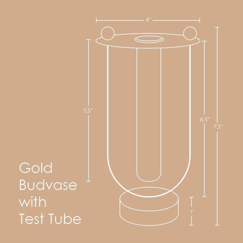 Buy Vase - Metal Gold Glass Test Tube Budvase | Sleek Flower Vase For Home Decor by Muun Home on IKIRU online store