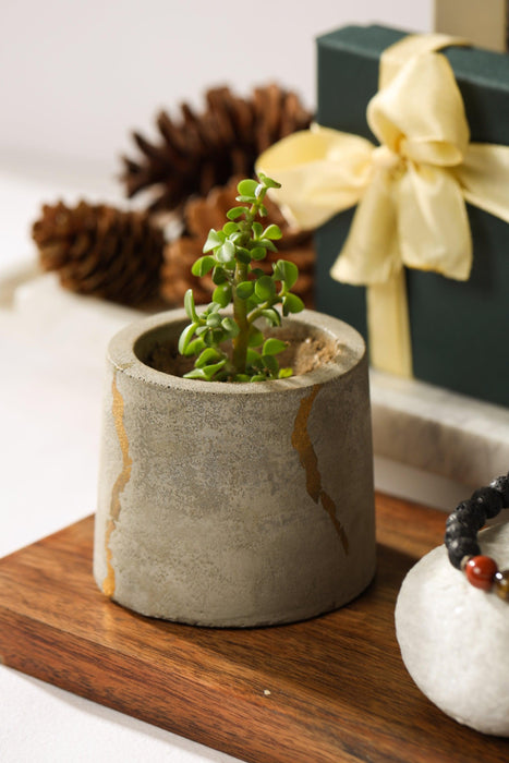Buy Vase - Mini Concrete Table Top Planter | Decorative Flower Vase For Home Decoration by Kaksh Studio on IKIRU online store